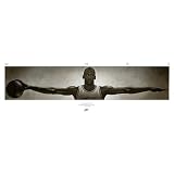Michael Jordan Wings - Life Size Wall Poster (72 x 23)