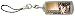 �k�l�̌� �\�[���[���C�gSTRAP �P���V���E