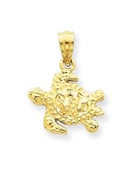 14k Gold Turtle Pendant