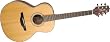 Takamine GS430S NEX Solid Cedar Top Acoustic Guitar