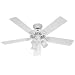 Hunter Fan Company