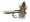 Blue Quill Fly Fishing Fly - Size 10
