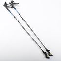 Exel Nordic Walking Stock NW Tour QLS, schwarz-grau