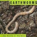 Earthworms (Animals)