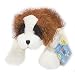 St. Bernard 8