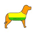 Brazil Personalised Waterproof Dog Coat Size L (22" 55cm)