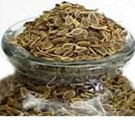 Dill Seeds 5 Pounds Bulk (Suva) by Dill Seed