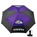 Baltimore Ravens 62