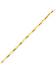 20" Box Neck Chain in 14K Yellow Gold
