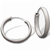 Titanium/Platinum Hoop Earrings (Pair)