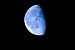 Blue Moon 4 - 24"W x 16"H - Peel and Stick Wall Decal by Wallmonkeys
