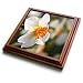 Bright Daffodil Flower - White Flowers - Spring Photography - 8x8 Trivet With 6x6 Ceramic Tile