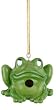 Frivolous Frog Birdhouse