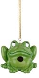 Frivolous Frog Birdhouse