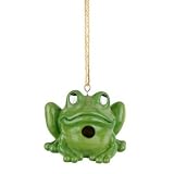 Frivolous Frog Birdhouse by In the Garden and More