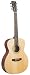 Recording King RO-06M-FE3 Classic Series 000-Style Acoustic-Electric Guitar, Matte Finish