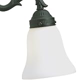 Fanimation G256 White Frost