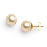 South Sea Golden Pearl Earrings in 14K Yellow Gold