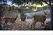 field of dreams kim norlien 500pc space savers puzzles