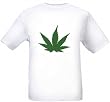 POT LEAF - White T-shirt