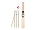 GUNN & MOORE Epic Cricket Set