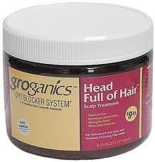 Groganics Head Full of Hair, 6 Ounce by PROFESSIONAL PRODUCTS UNLIMITED, INC.