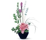 Orchid Cheer