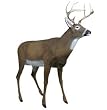 Flambeau New Masters Deer Full Body Decoy
