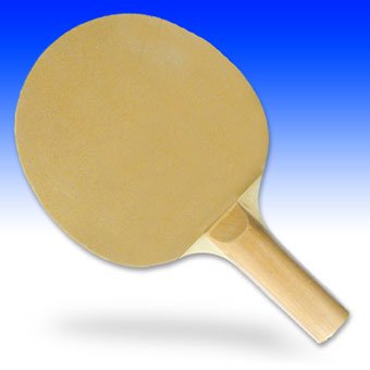 Childrens Toyshop  Sporting Goods : The CSI Sandpaper Table Tennis Paddle, Sandpaper Ping Pong Paddle