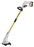 Ryobsoletei One+ Starter Kit - Line Trimmer, 2 Batteries & Charger