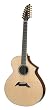 Breedlove Master Class Classic XII - 12 String Acoustic Guitar, Made in U.S.A.