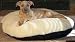 Canine Cushion Orthopedic Memory Dog Bed Round Burgundy 36 in.