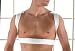  : Posture Corrective Brace