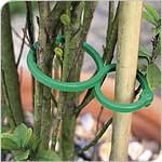 Large Twisty Plant Rings x30
