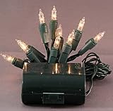 10 Clear Battery Mini Lights - 6 Foot Green Wire
