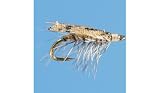 Fishing: Web Wing Caddis Flies