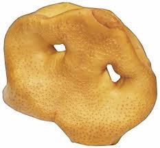 HDP PORK SNOUTS Made in USA Size:Pack_of_100