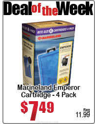 DealoftheWeek