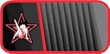 Betty Boop Star Style CD/DVD Visor Organizer