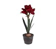 21" Red Amaryllis Battery Operated LED Lighted Silk Potted Flower Plant