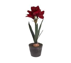 21" Red Amaryllis Battery Operated LED Lighted Silk Potted Flower Plant