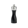 Peugeot PM17149 Fidji 6 Inch Salt Mill, Black Matte