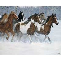 31c0G4oA44L Wild Beauty   Horses Jigsaw Puzzle 1000pc