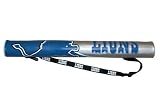 NFL Detroit Lions Can Shaft Cooler