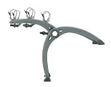 Saris Bones Car Rack