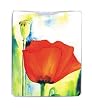 mi tourch Poppy Flower Flashlight