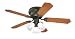 Westinghouse Contempra Trio Three-Light 42-Inch Five Blade Ceiling Fan, Oil Rubbed Bronze with Frosted Shades #78377