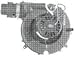 Carrier Bryant Furnace Flue Blower 115 Volts # FB-RFB212
