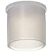 Kapsto 200 Z 14.5 x 15 Polyethylene Protective Cap, Natural, 14.5 mm Tube OD (Pack of 100)