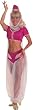 I Dream of Jeannie Costume